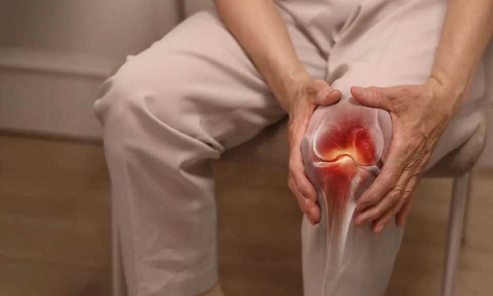 88f39b19adf4a5e1a46896374696dc33